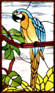 blue macaw stained glass and leaded glass window
