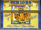 Class of 2010 stained glass tiger school window
